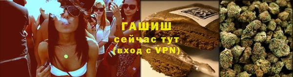 шишки Алзамай