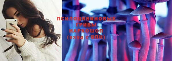 шишки Алзамай