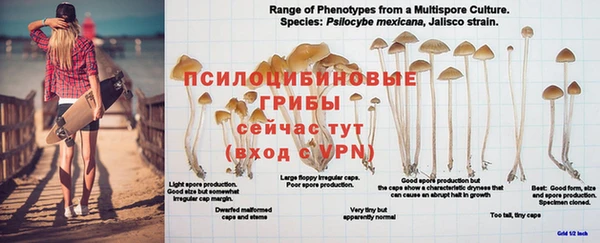 прущая мука Алексин